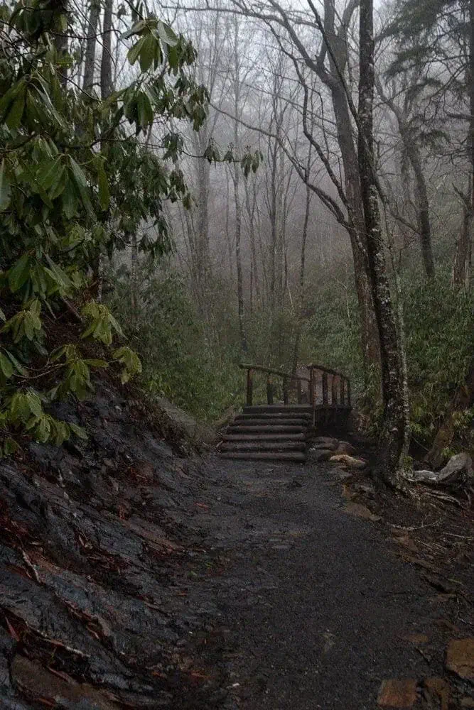 A bridge along the Mt. Leconte Hike in the Great Smoky Mountains.