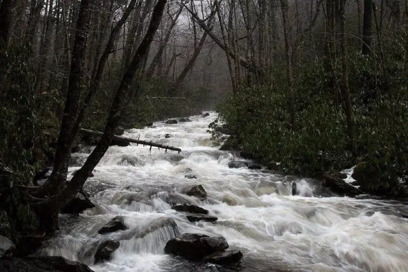 All the rain and snow melt made for some swollen streams.
