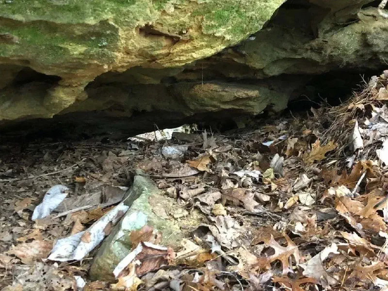 Nose to the Ground Arch - Red River Gorge, Kentucky