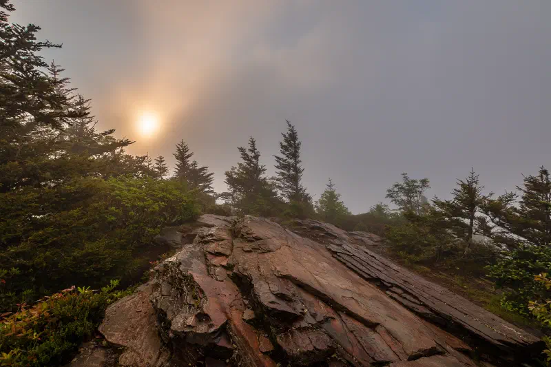 A foggy sunrise from Myrtle Point - Mt. Leconte - Great Smoky Mountains, Tennessee