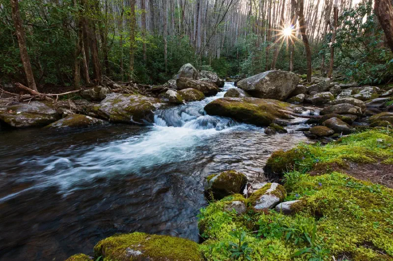 A mountain stream in the Great Smoky Mountains of Tennessee
