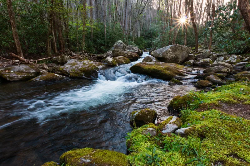 A mountain stream in the Great Smoky Mountains of Tennessee
