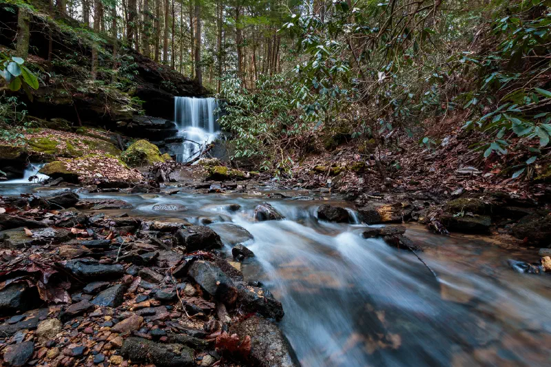Bolton Branch Falls, Daniel Boone National Forest, Kentucky