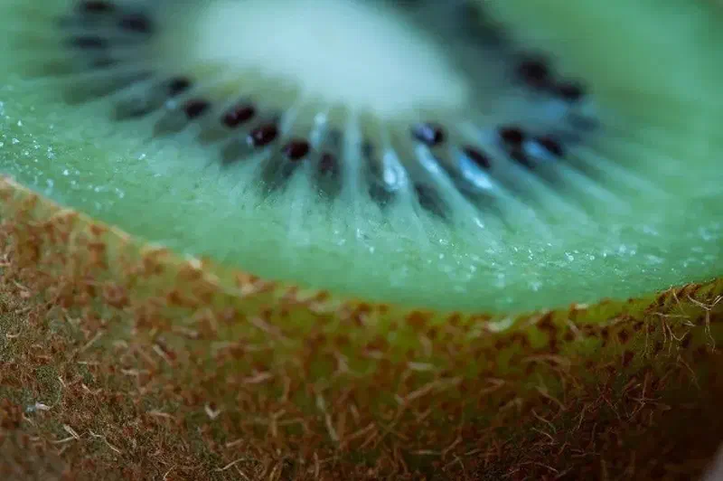 An example of an extremely shallow depth of field