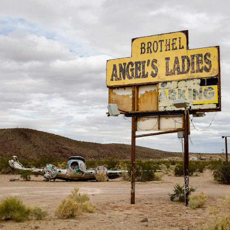 Angel's Ladies, Nevada