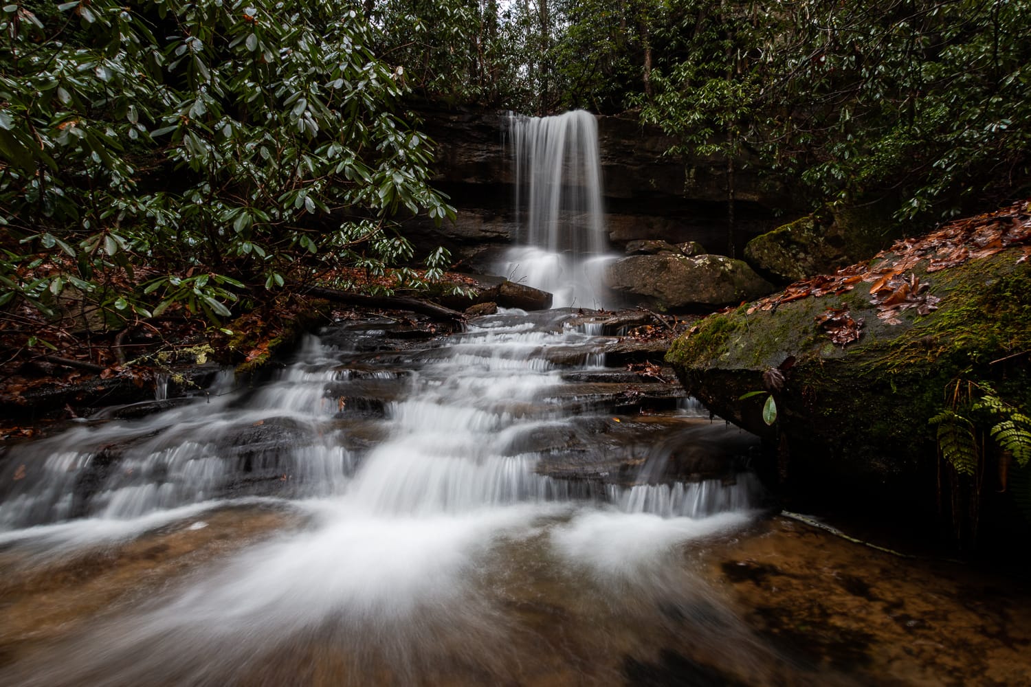 Artery Falls, Daniel Boone National Forest, Kentucky.