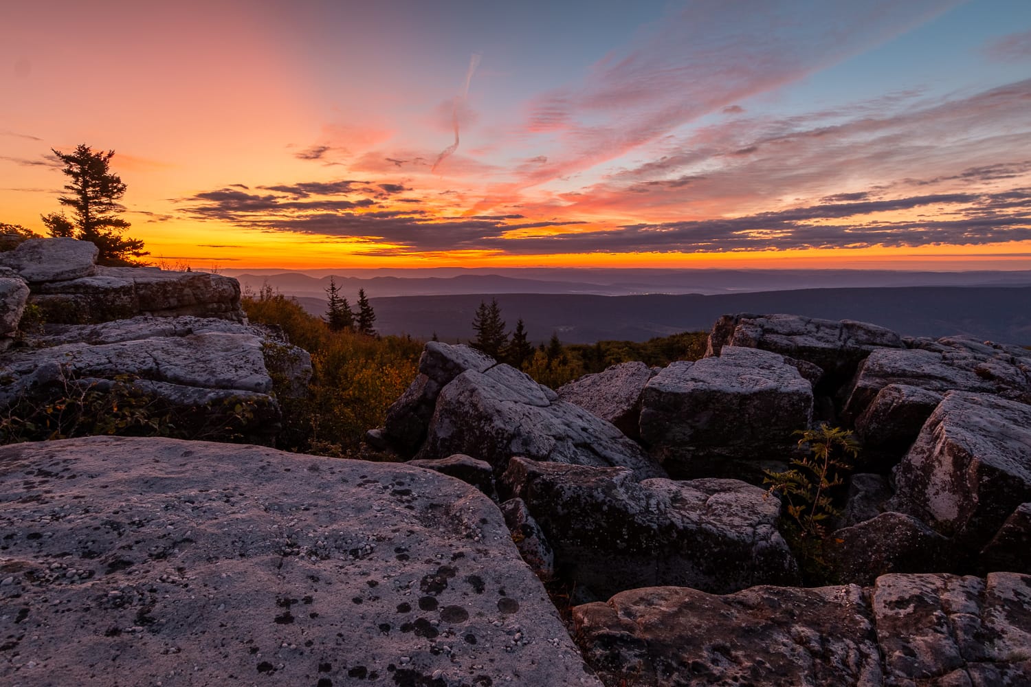 The sunrise from Bear Rocks - Monongahela National Forest, West Virginia.
