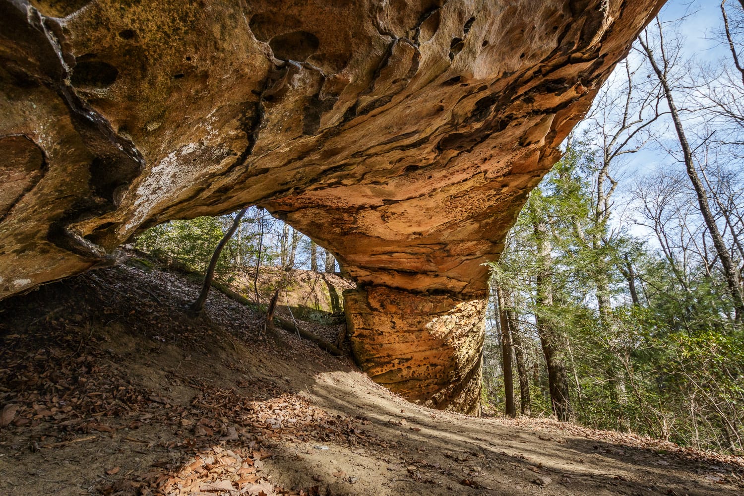 Bolton Twin Arch East, Daniel Boone National Forest, Kentucky.