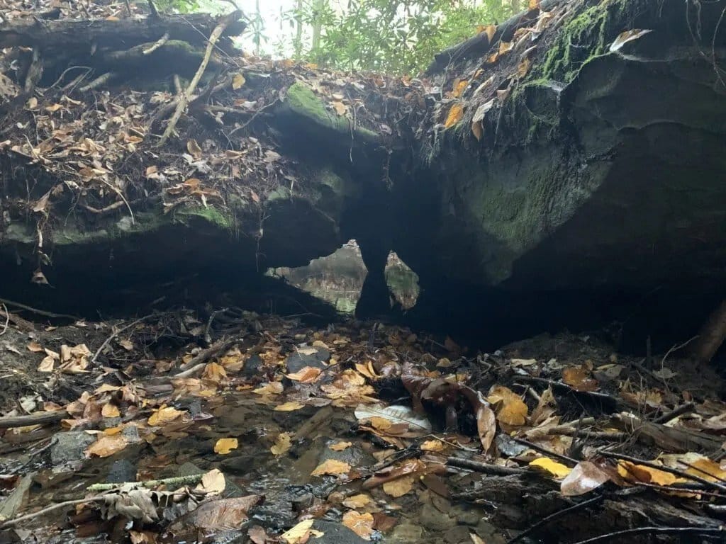 The Bridge of Sighs - Daniel Boone National Forest, Kentucky.