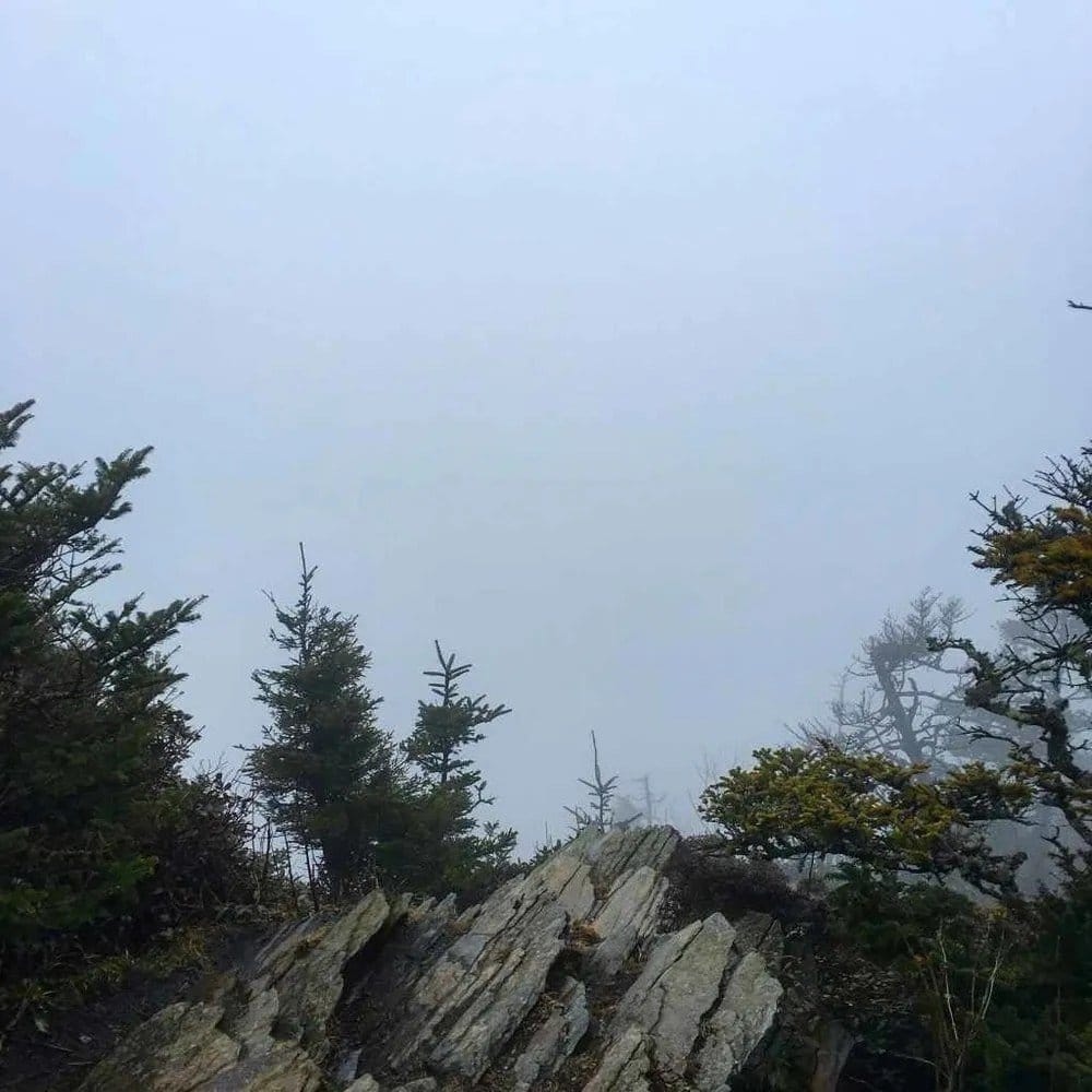 Cliff Tops shrouded in fog - Great Smoky Mountains National Park, Tennessee.
