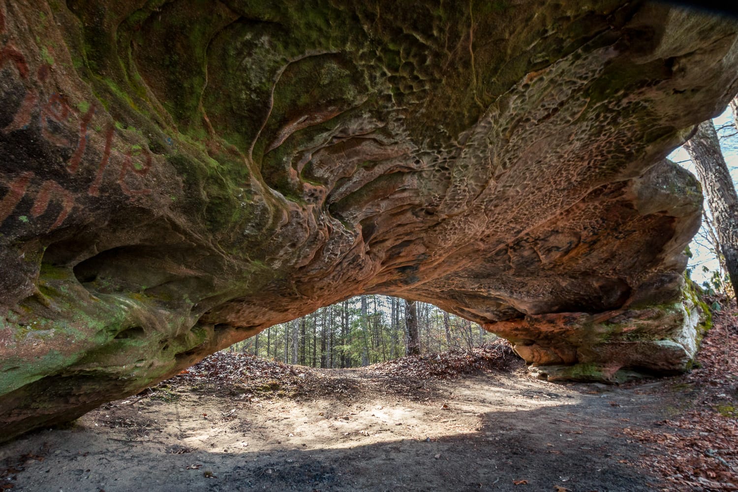 The westernmost (and largest) portion of the Daylight Twin Arches