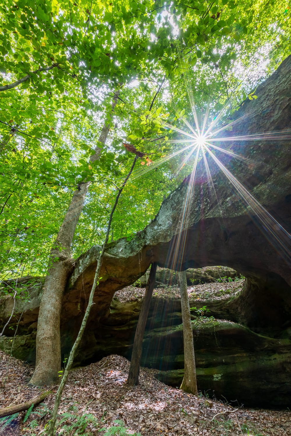 Grove Arch, Daniel Boone National Forest, Kentucky.