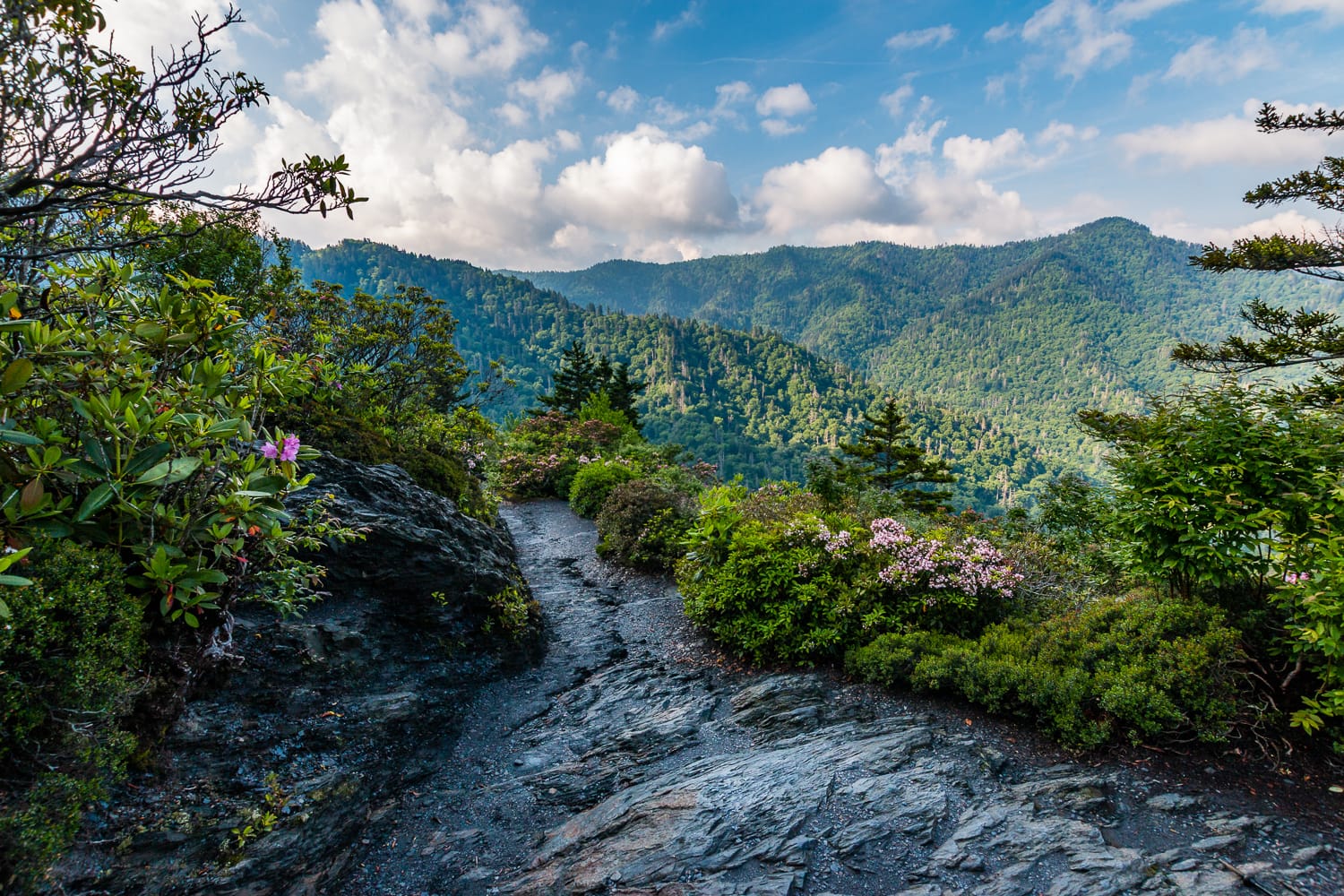 The view from Inspiration Point - Mt. Leconte, Great Smoky Mountains National Park, Tennessee.