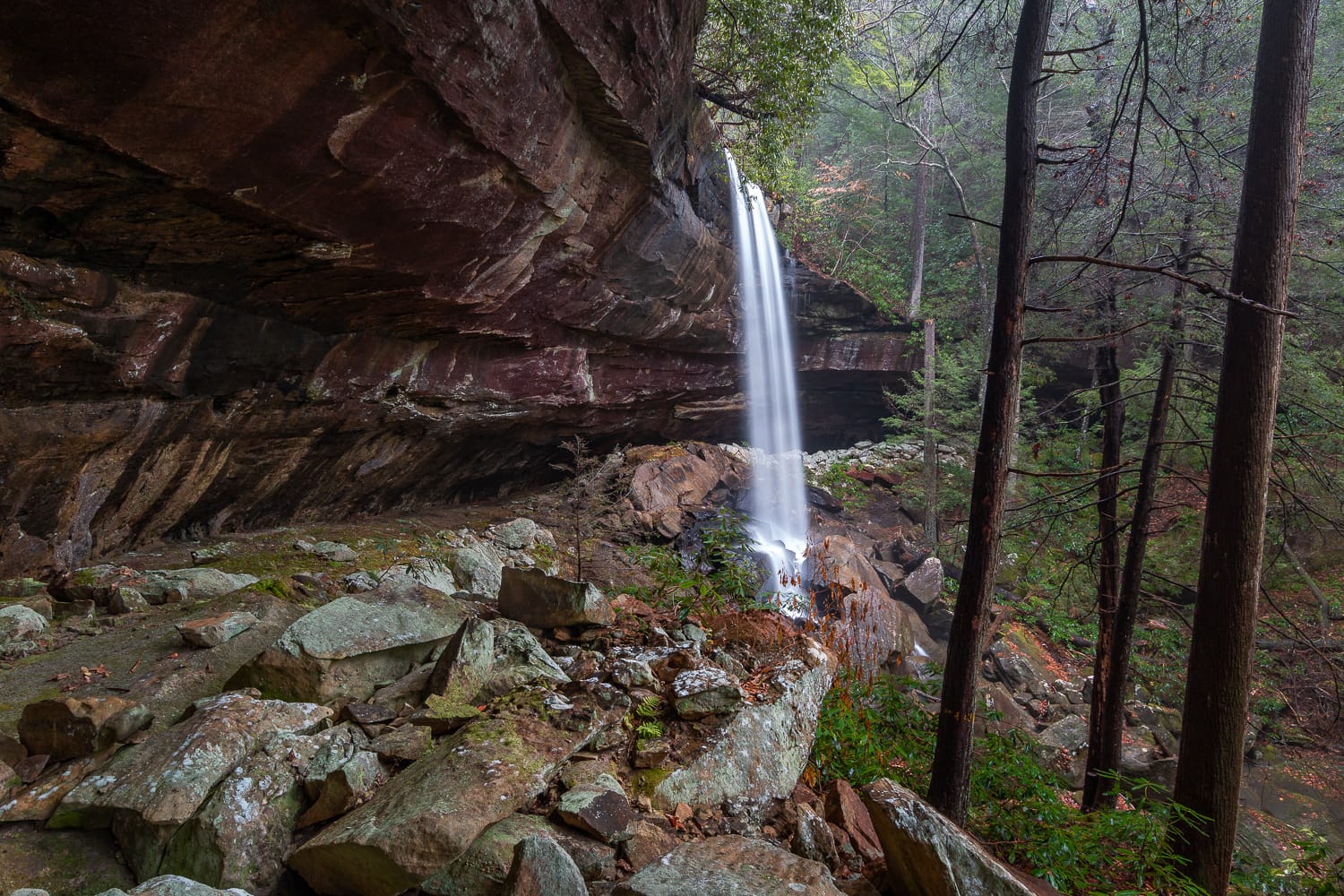 Lick Branch Falls. Located off-trail in the Daniel Boone National Forest, Kentucky.