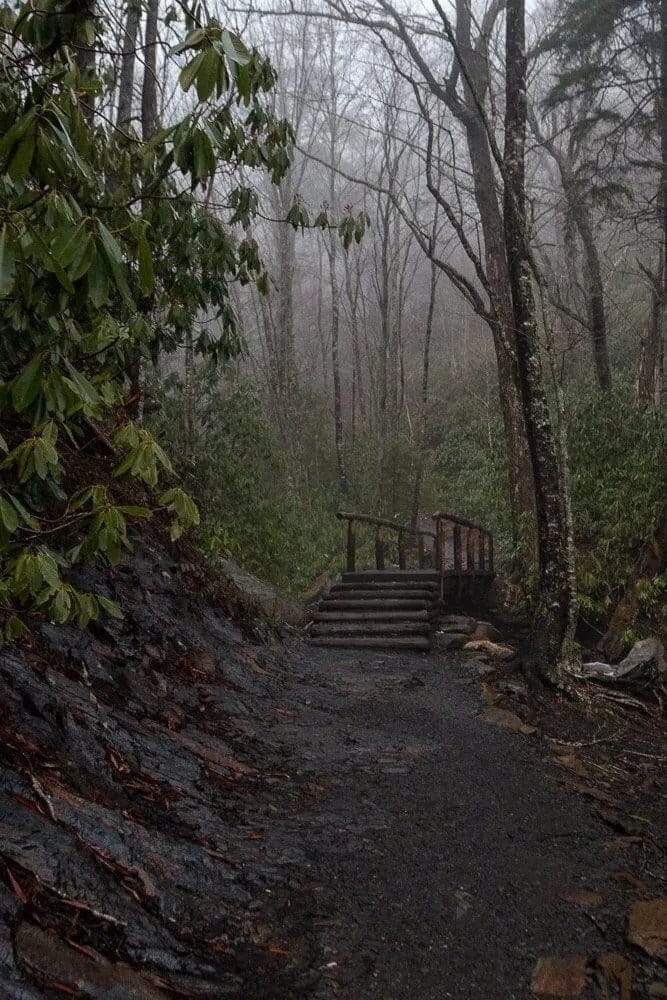 A bridge on the way up Mt. Leconte.