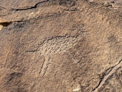 Picketwire Canyon: A Hike Through Time