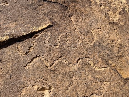 Picketwire Canyon: A Hike Through Time