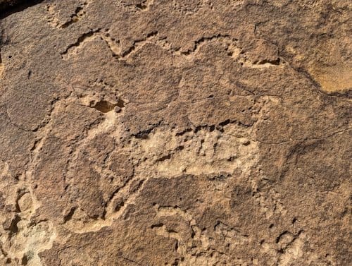 Picketwire Canyon: A Hike Through Time