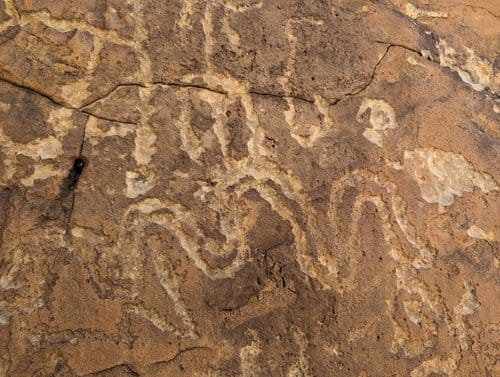 Picketwire Canyon: A Hike Through Time