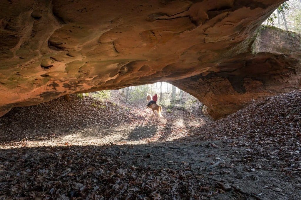 Phalanx Arch - Daniel Boone National Forest, Kentucky.