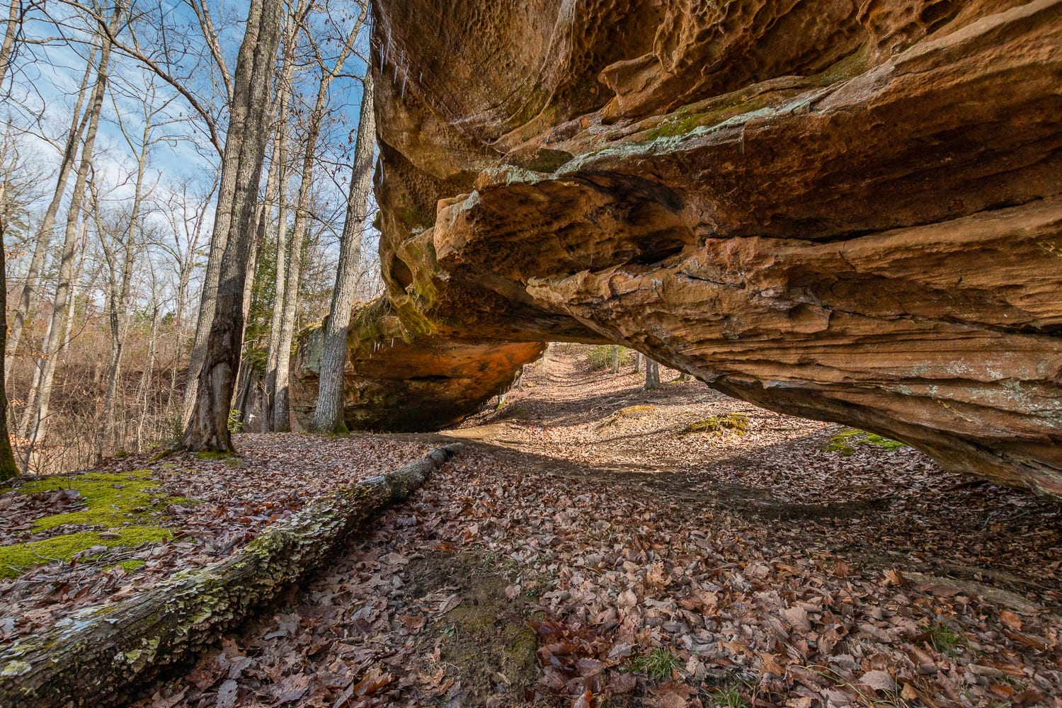 Schoolhouse Arch, Daniel Boone National Forest, Kentucky.
