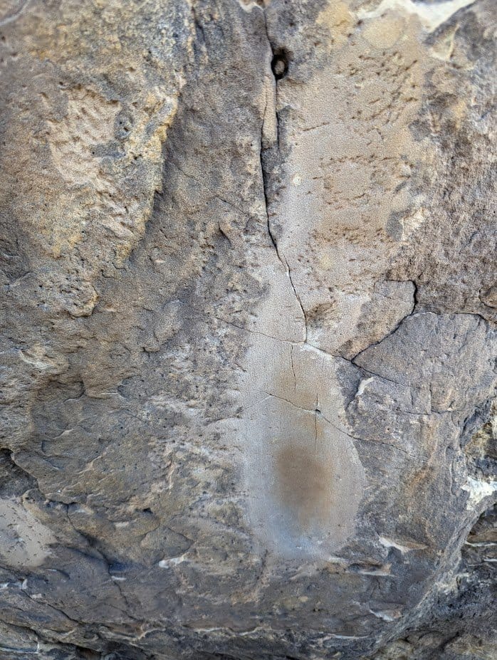 Picketwire Canyon: A Hike Through Time