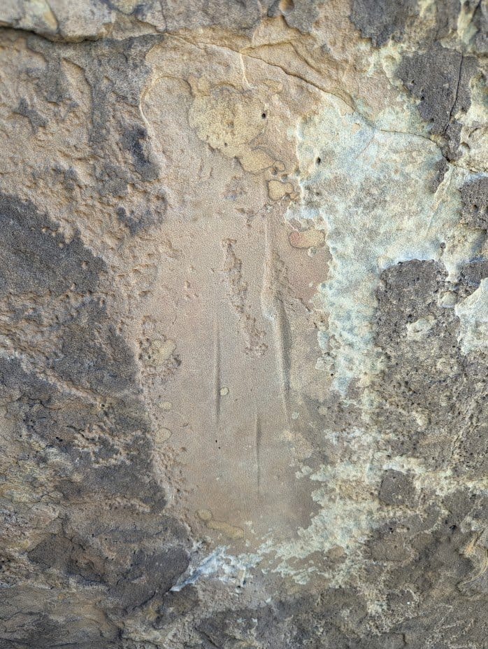 Picketwire Canyon: A Hike Through Time