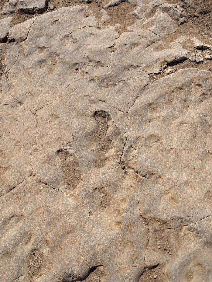 Picketwire Canyon: A Hike Through Time