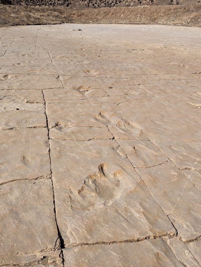 Picketwire Canyon: A Hike Through Time