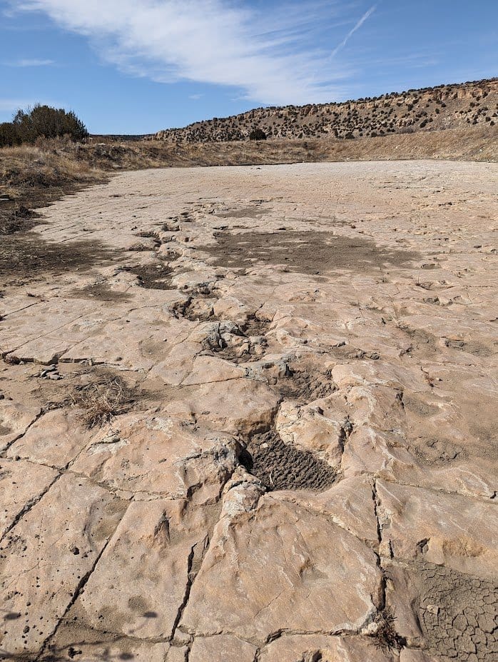 Picketwire Canyon: A Hike Through Time