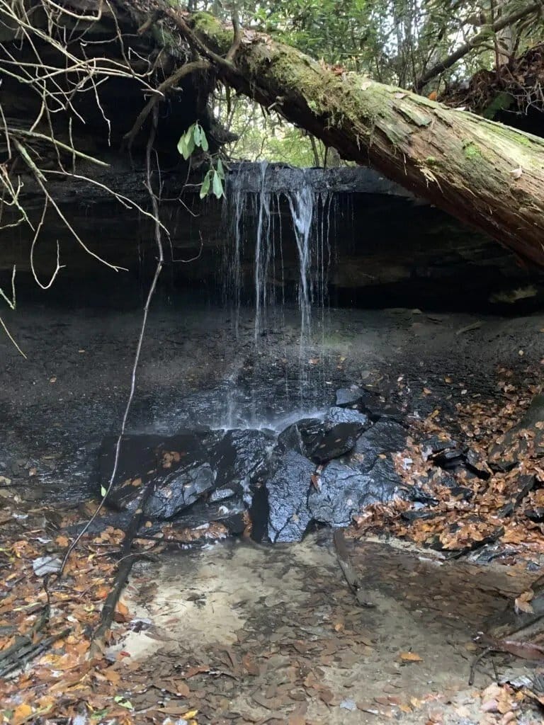 A small, off-trail waterfall in Daniel Boone National Forest, Kentucky.