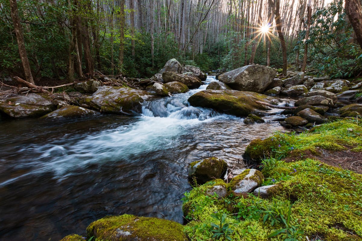 My Impromptu Trip To The Great Smoky Mountains