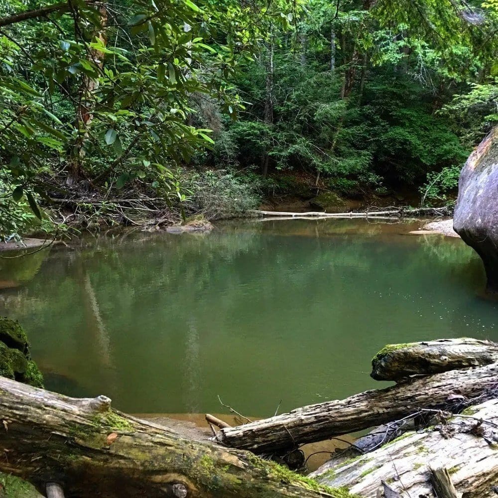 A Solo Overnight Along Swift Camp Creek in a Hammock
