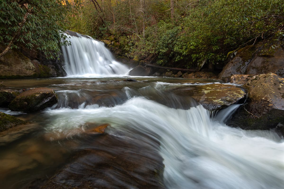 New Prints are Now Available