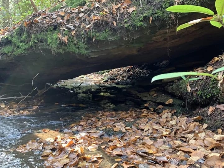 An off-trail natural bridge in the Daniel Boone National Forest, Kentucky.