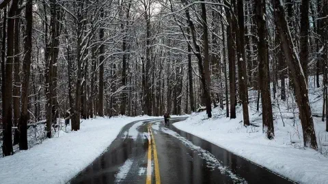 Smokies winter2017 3
