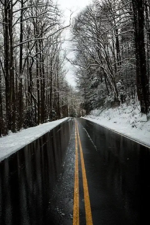 Smokies winter2017 4