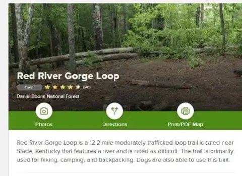 Rrgloop