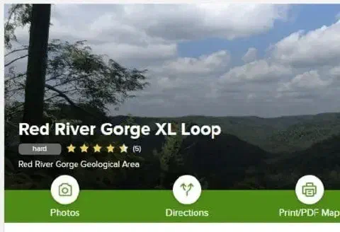 Rrgxlloop