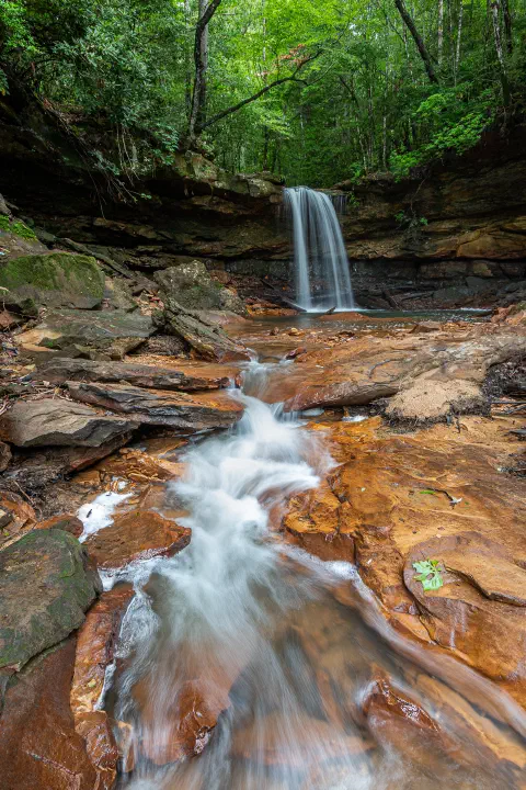 Bear creek falls