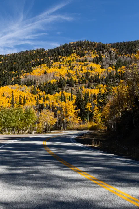Fall in rio grande national forest