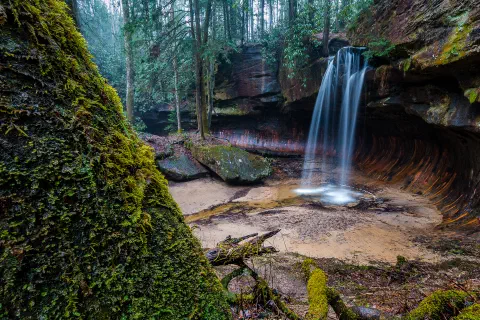Poochs turtle falls