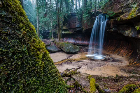 Poochs turtle falls