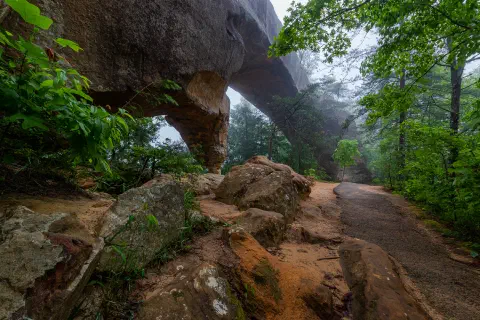 Skybridge