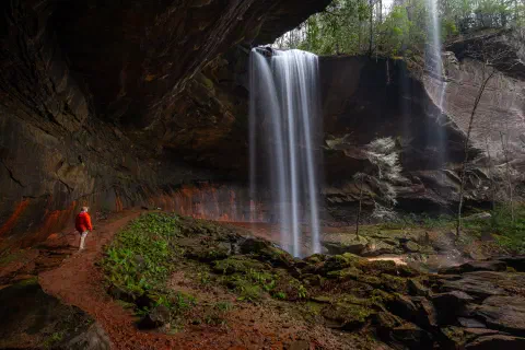 Admiring lick creek falls